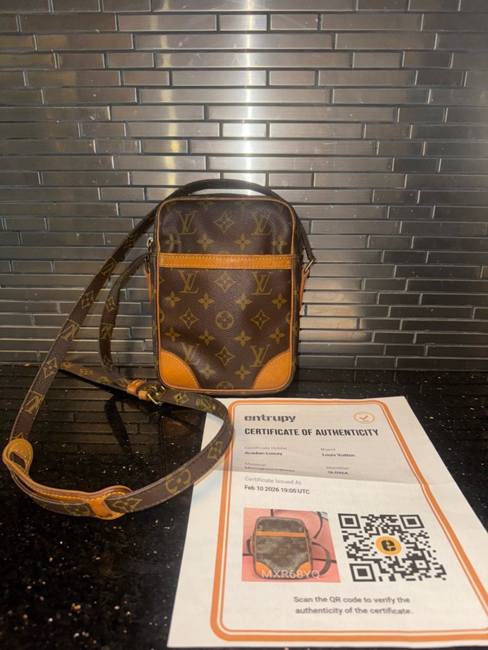 Louis Vuitton Monogram Danube Crossbody Bag